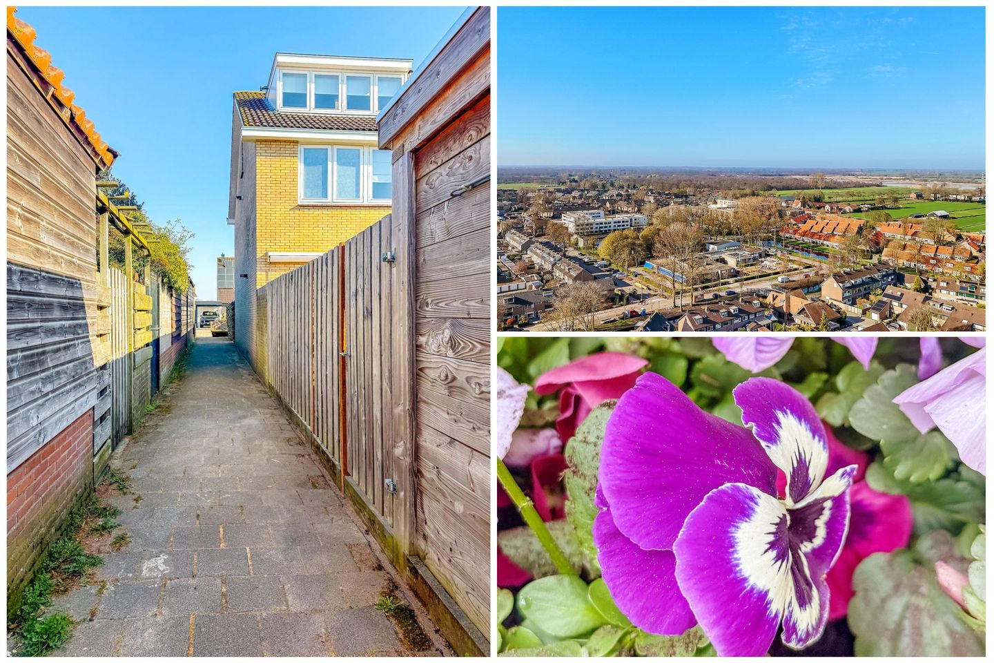 Foto 20 van Bernard van Beeklaan 45