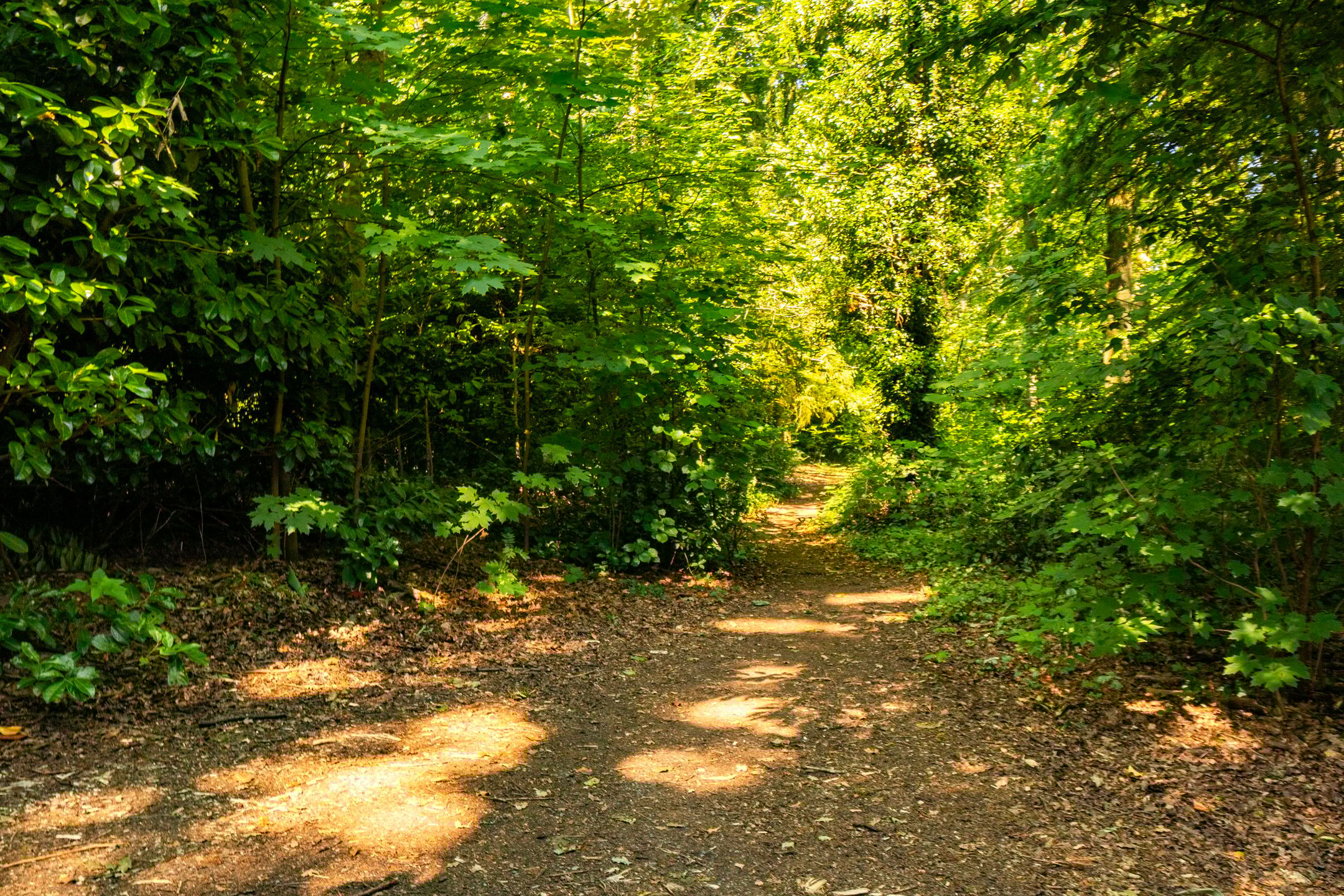 Foto 42 van Parallelweg 66