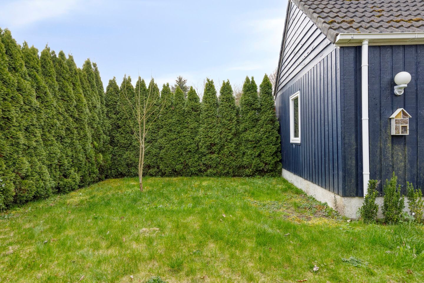 Foto 25 van de Wandelingen 29