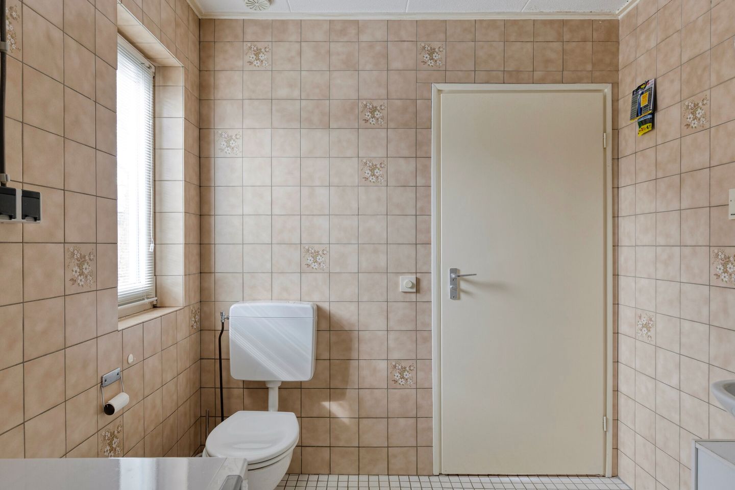 Foto 19 van de Wandelingen 29