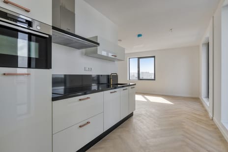 Mies van der Rohestraat thumbnail