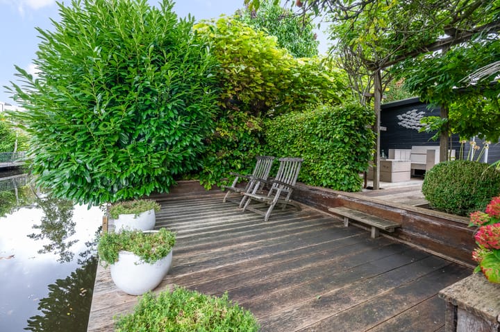 Foto 2 van Eidereend 11