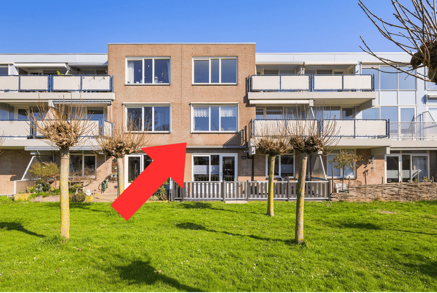 Photo 1 of Goudplevier 57