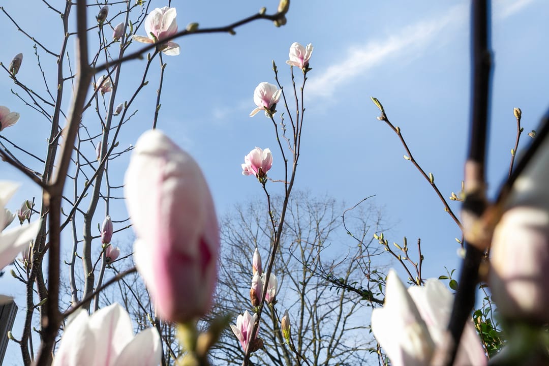 Foto 17 van Tussendek 9