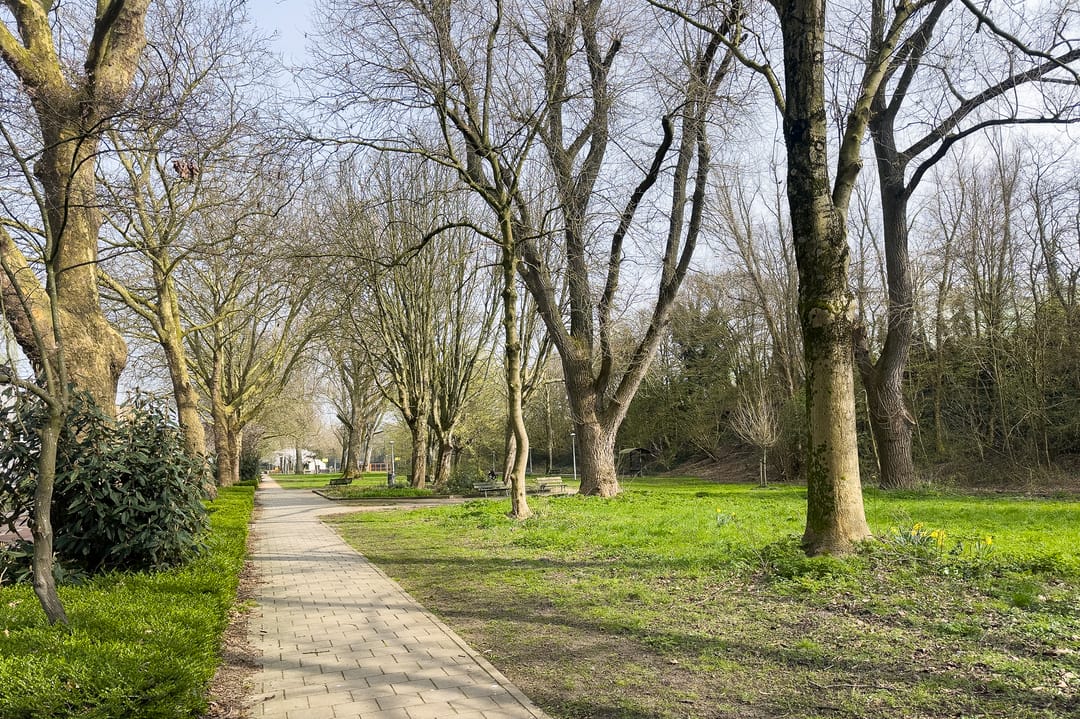 Photo 31 of Oogststraat 7-1