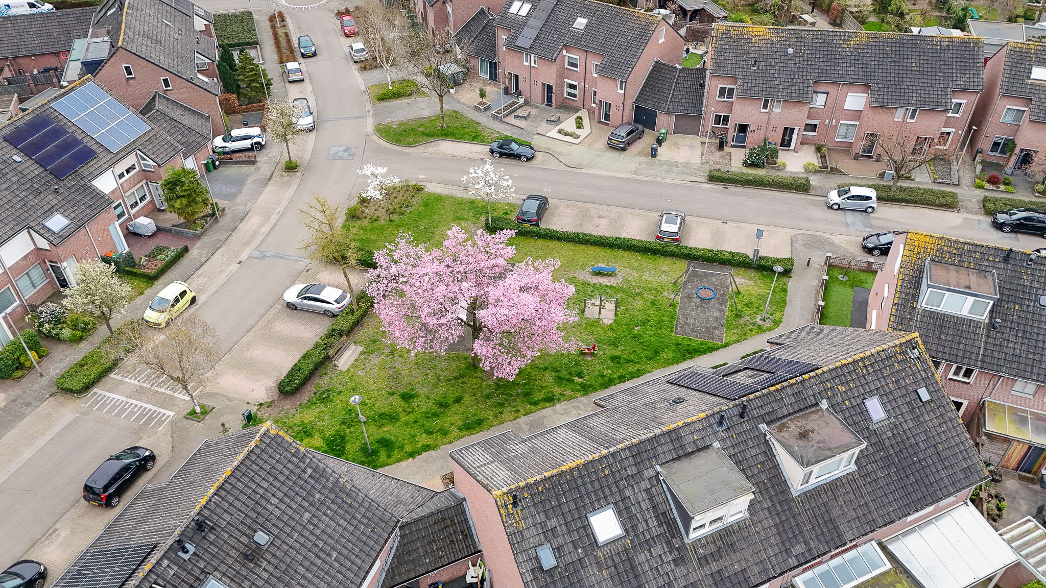 Photo 45 of Donauring 1