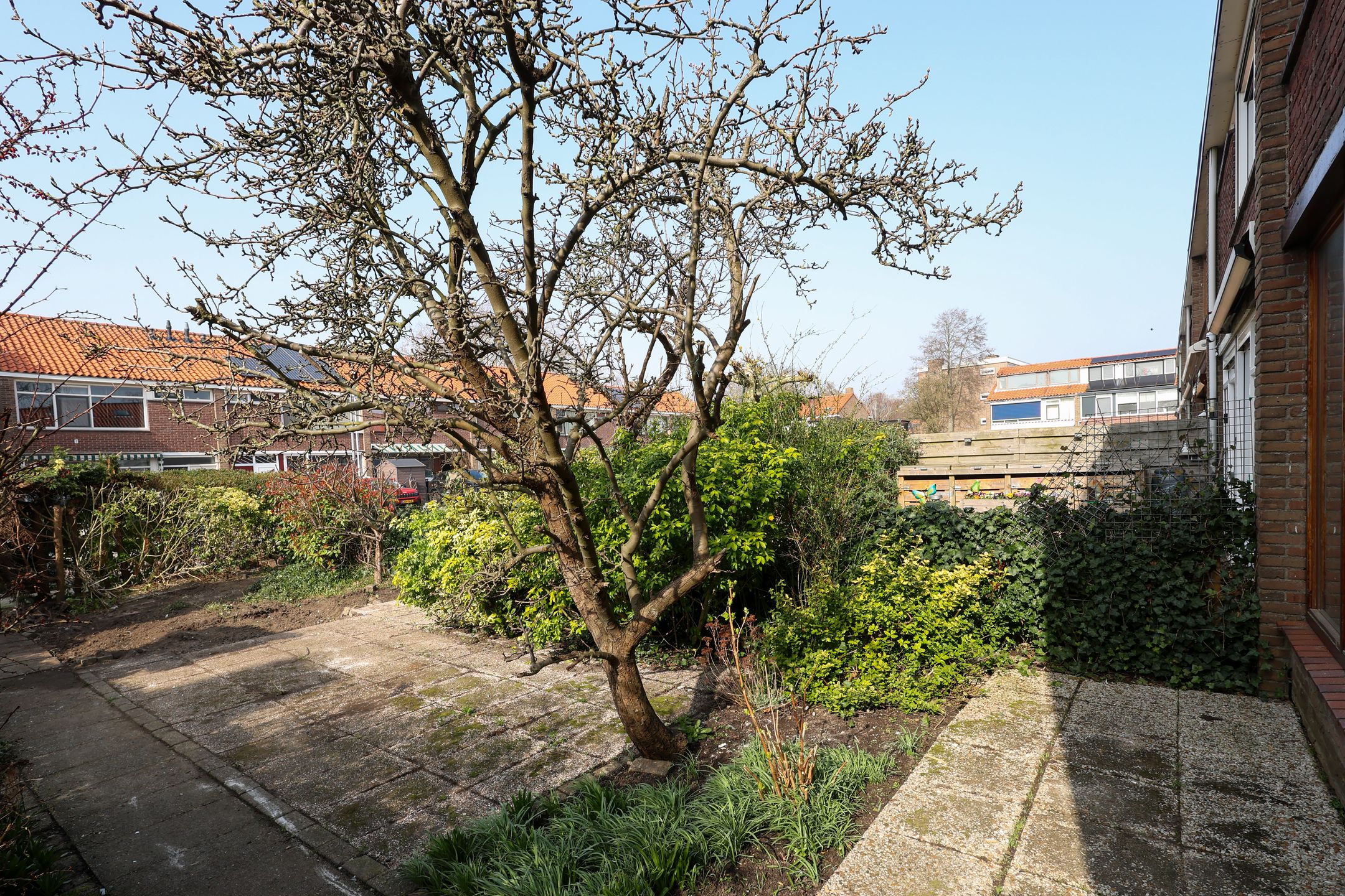 Foto 9 van Leliestraat 13