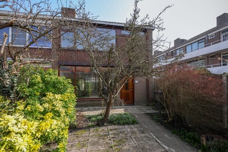 Leliestraat thumbnail