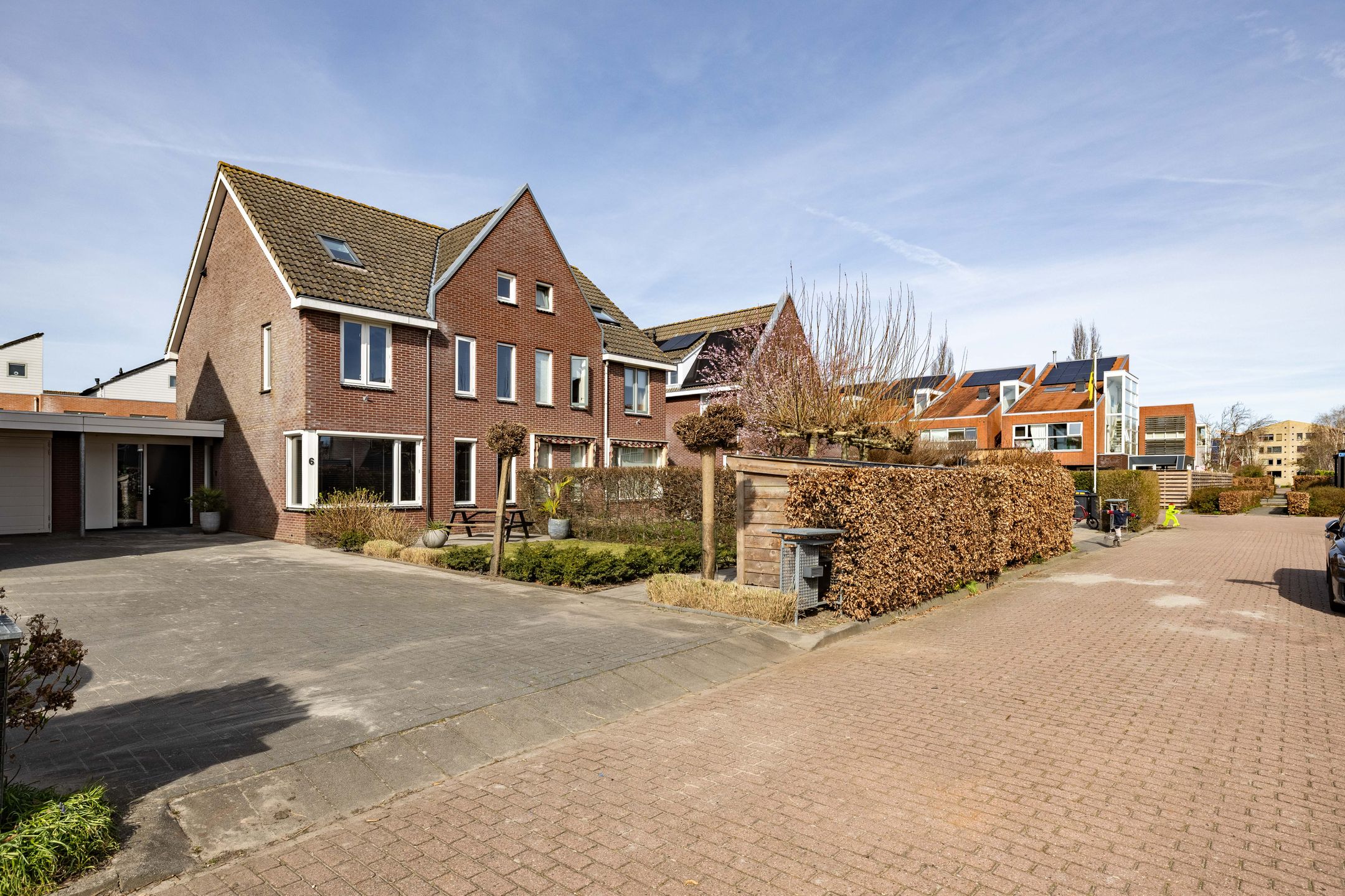 Foto 6 van Kleine vos 6