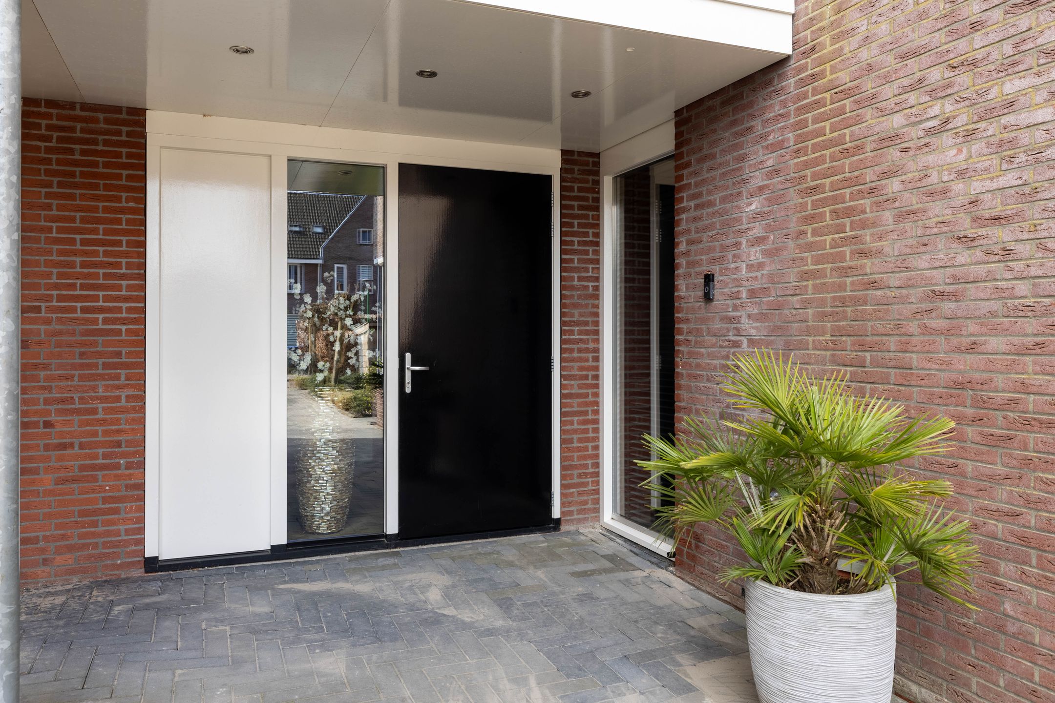 Foto 9 van Kleine vos 6