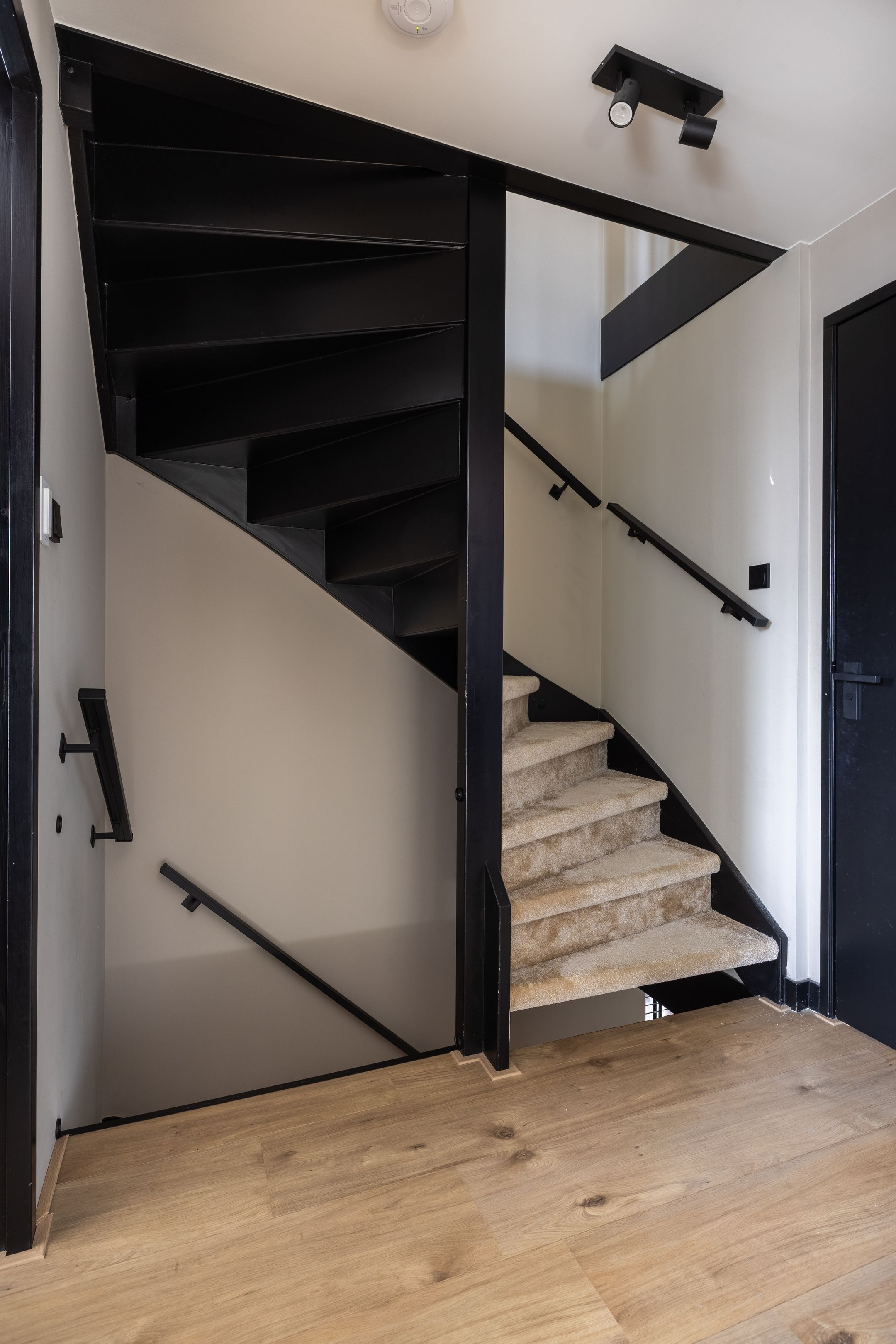 Foto 30 van Kleine vos 6