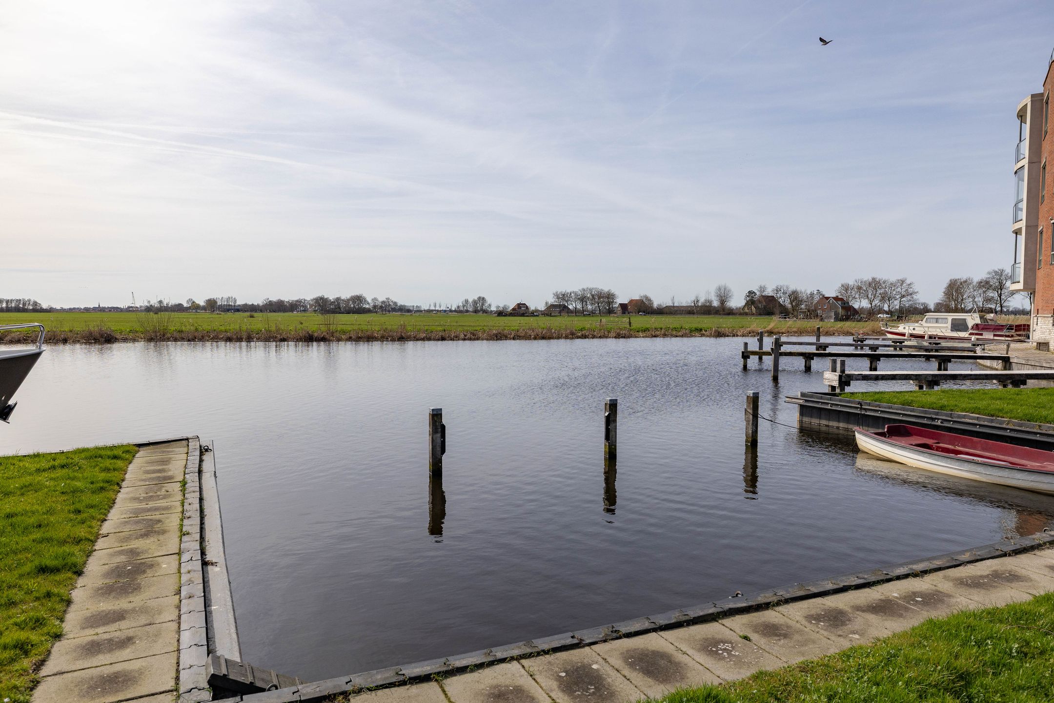 Foto 57 van Kleine vos 6