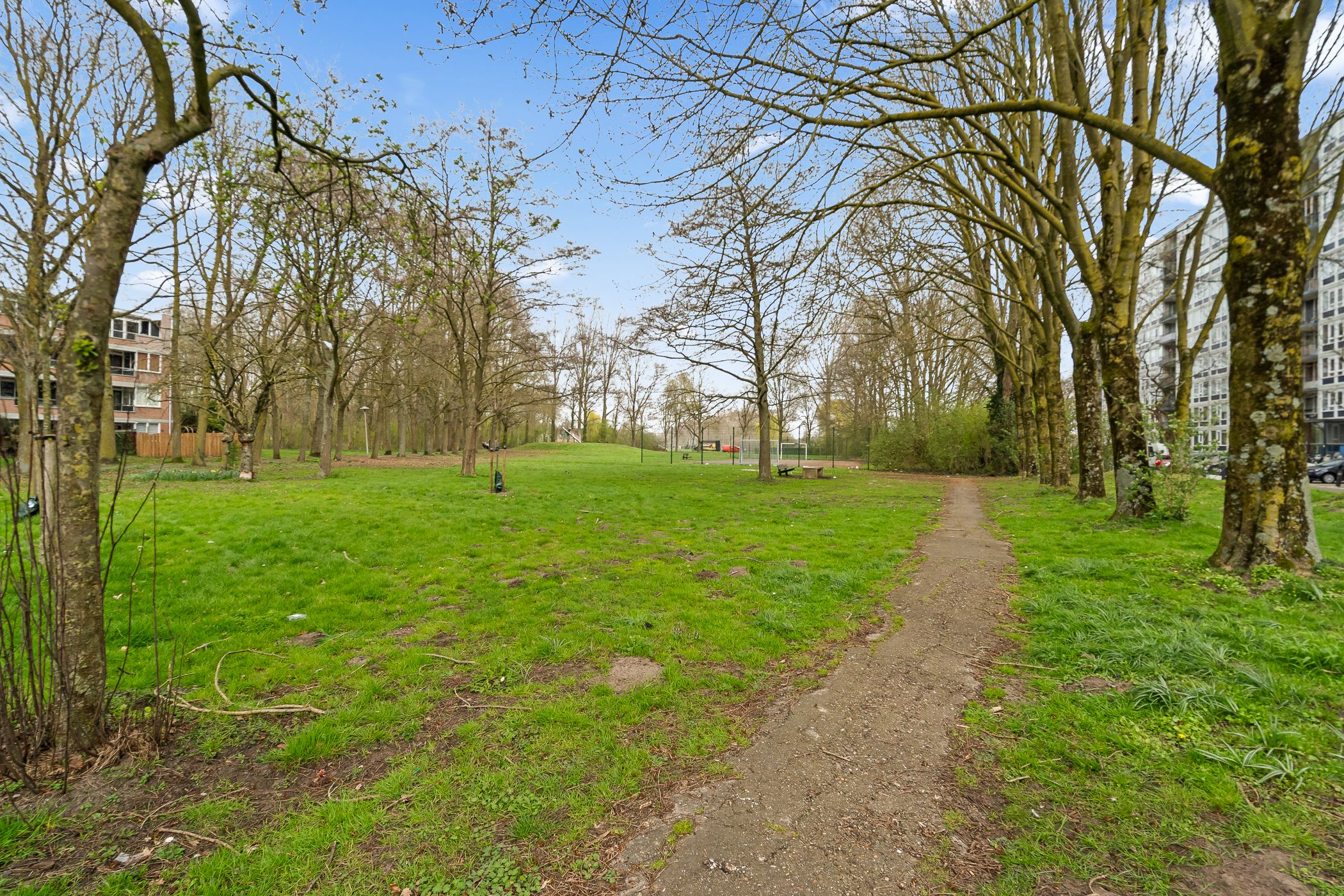 Foto 51 van Dommeringdreef 77