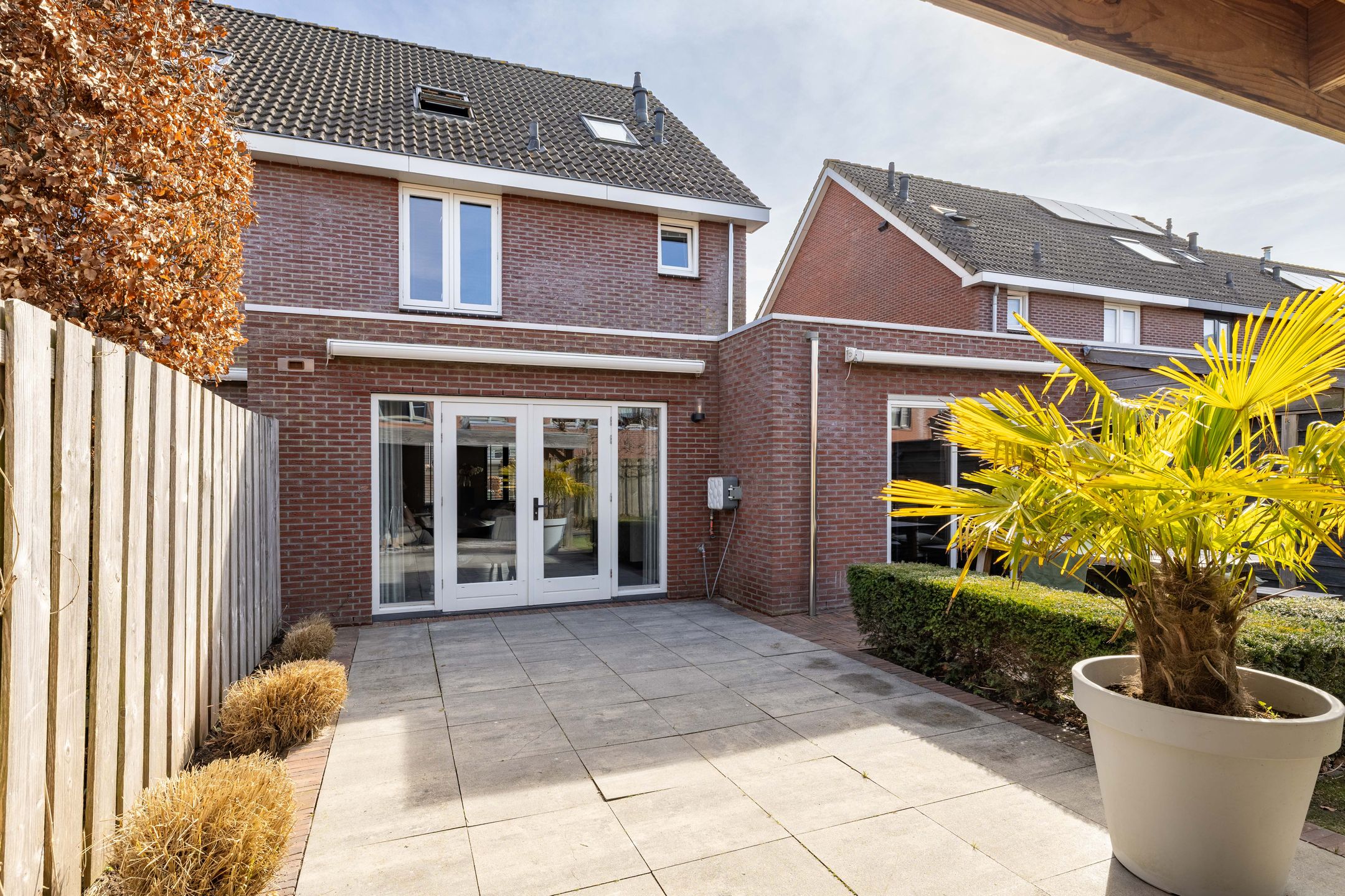 Foto 54 van Kleine vos 6