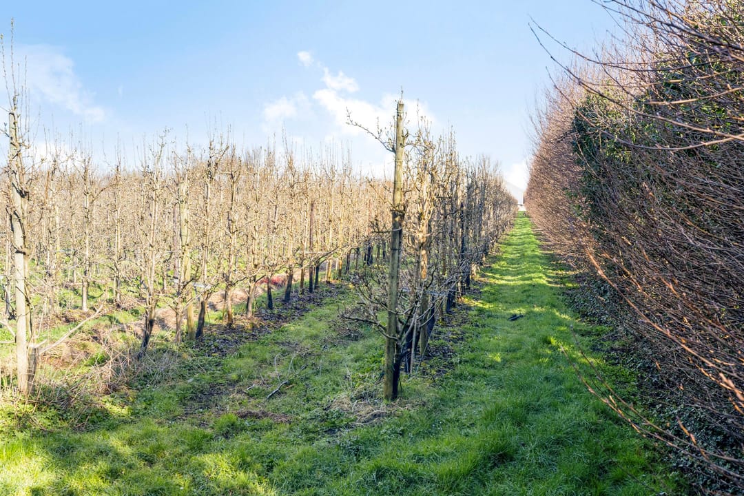 Foto 47 van Afgeslechtedijk 29