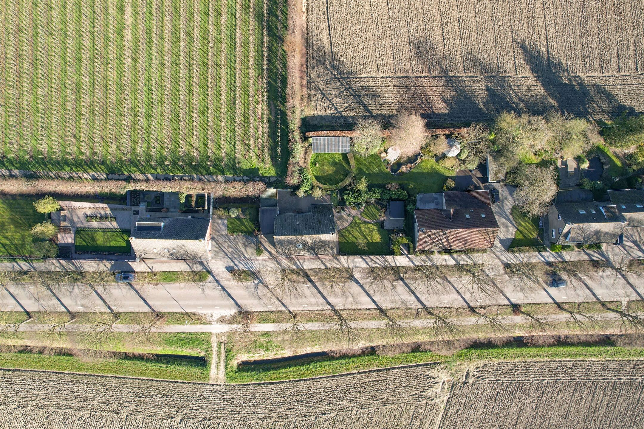 Foto 48 van Afgeslechtedijk 29