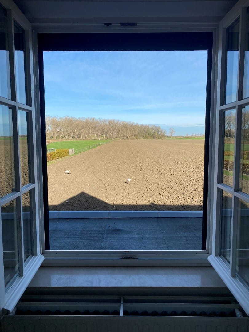 Foto 25 van Groenevelt 12