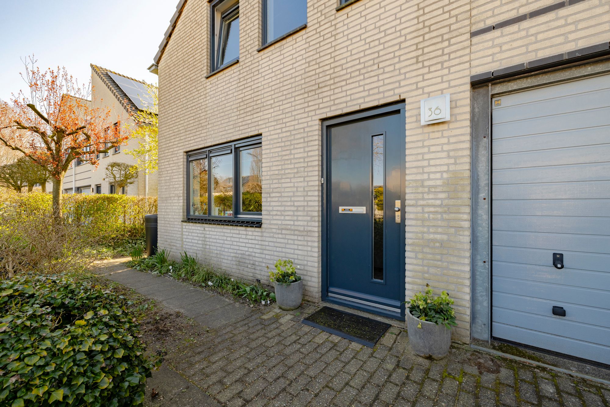 Foto 6 van Park Oosterspaarn 36