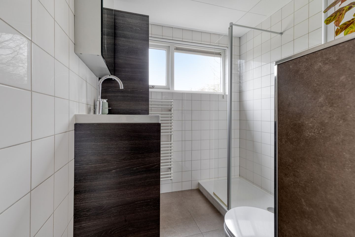 Foto 19 van Astertuin 19