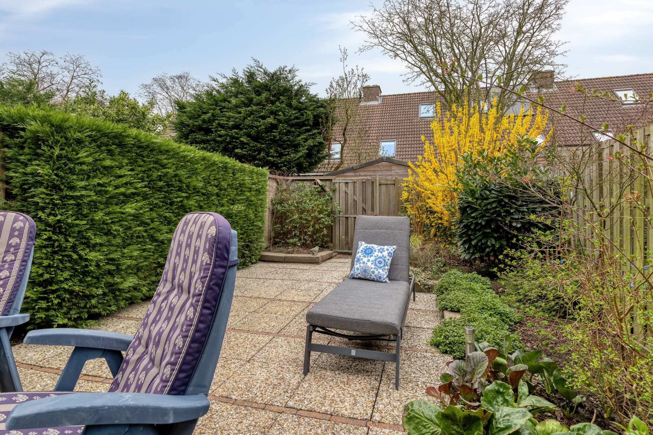 Foto 12 van Astertuin 19