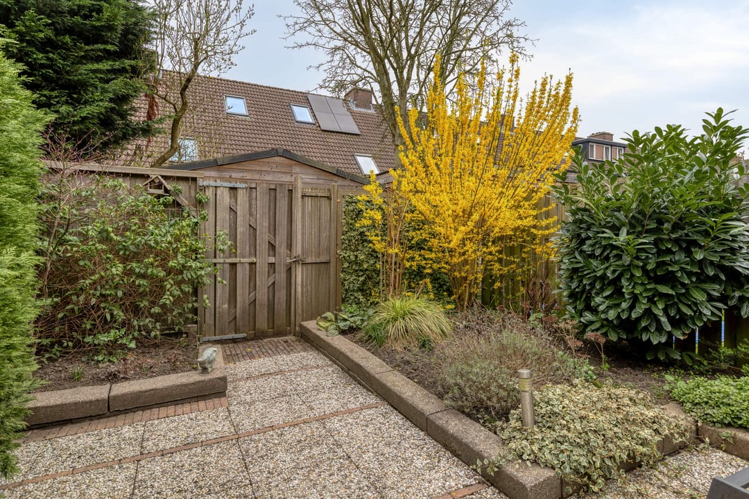 Foto 13 van Astertuin 19