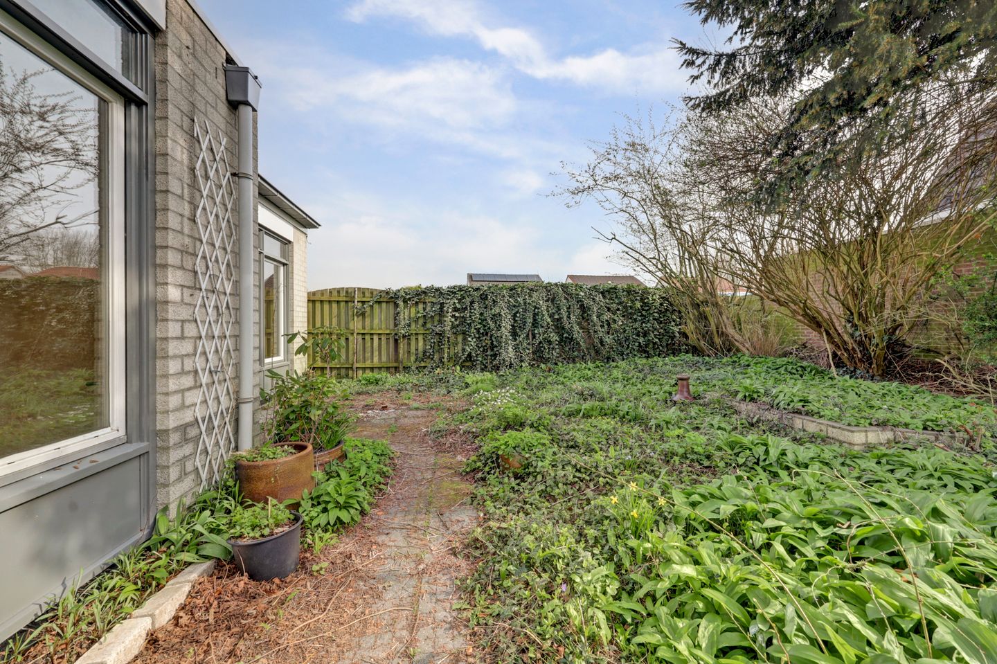 Photo 35 of Kruidendreef 90