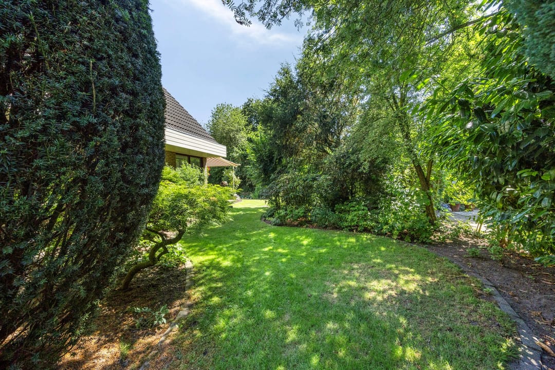 Foto 41 van de Wandelingen 15