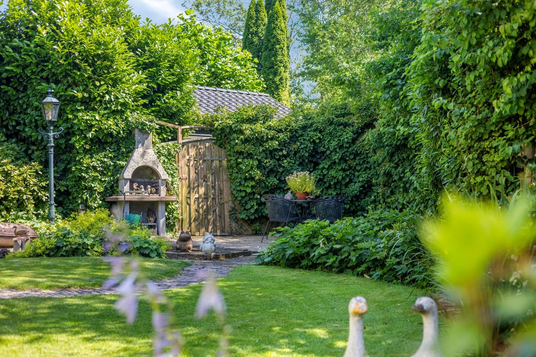 Foto 37 van de Wandelingen 15