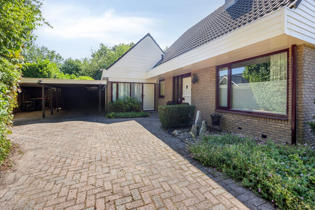 Foto 7 van de Wandelingen 15