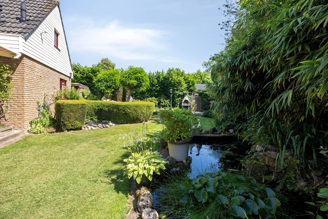 Foto 38 van de Wandelingen 15