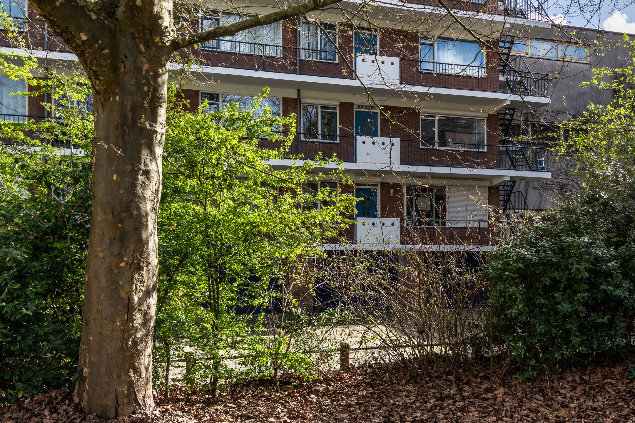 Light apartment with parking in central Rotterdam location — 30