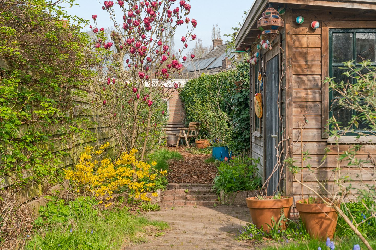 Foto 40 van Muntweg 50