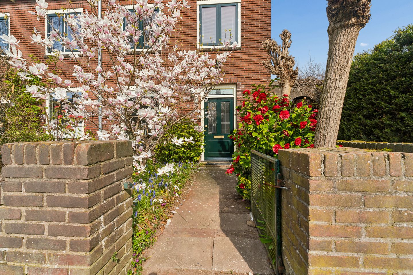 Foto 50 van Muntweg 50