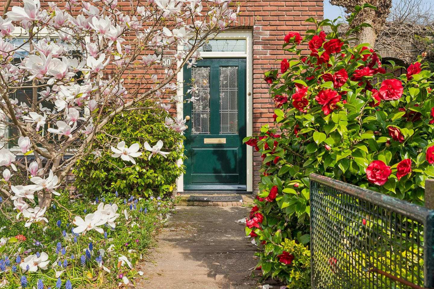 Foto 49 van Muntweg 50