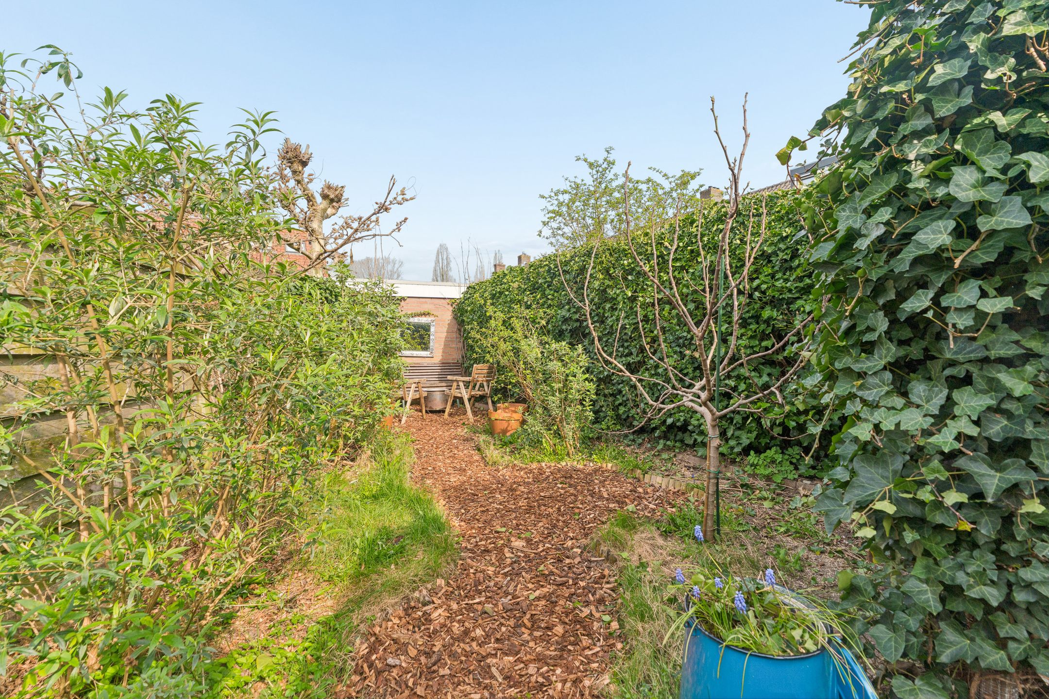 Foto 42 van Muntweg 50