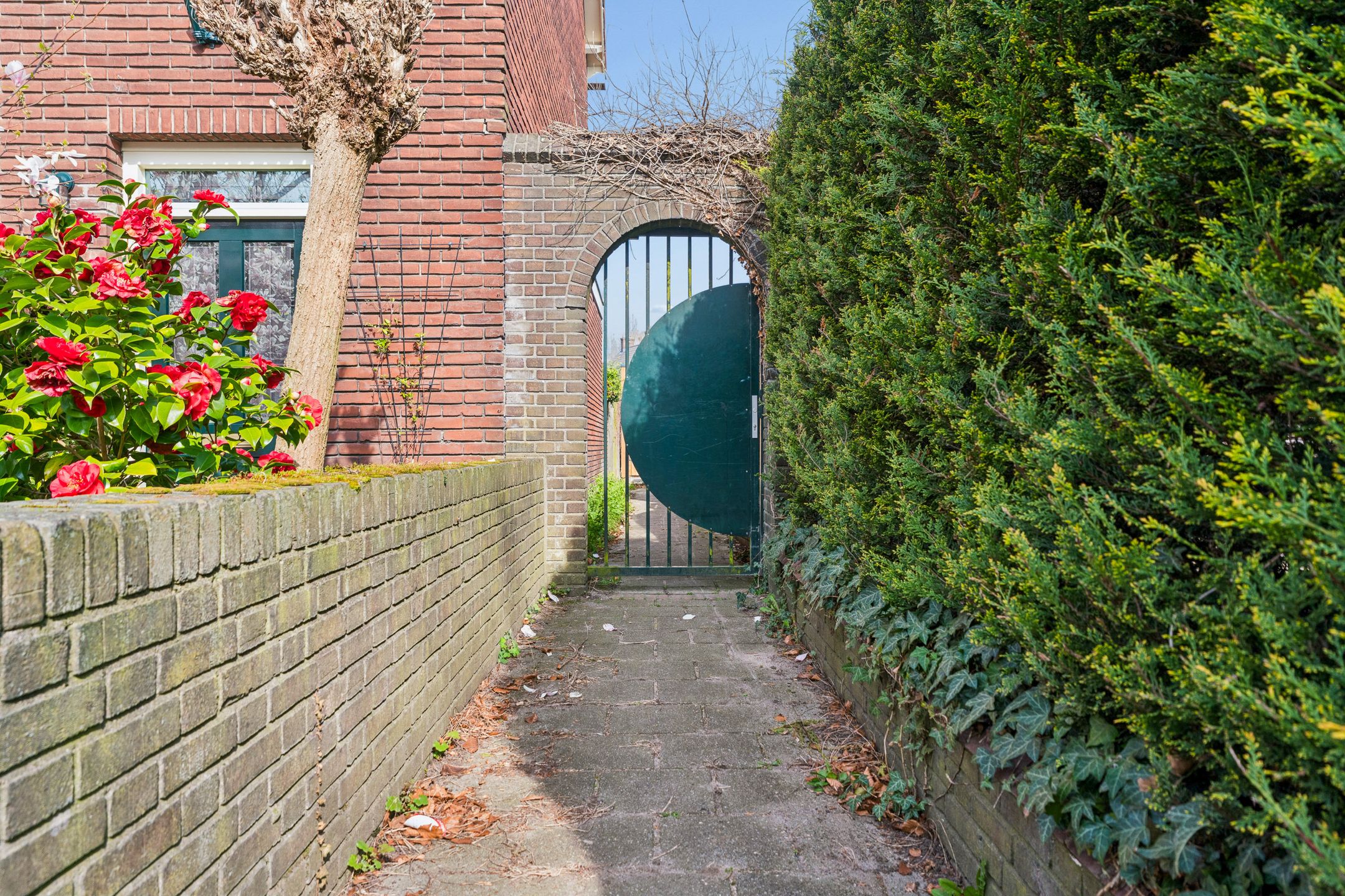 Foto 51 van Muntweg 50