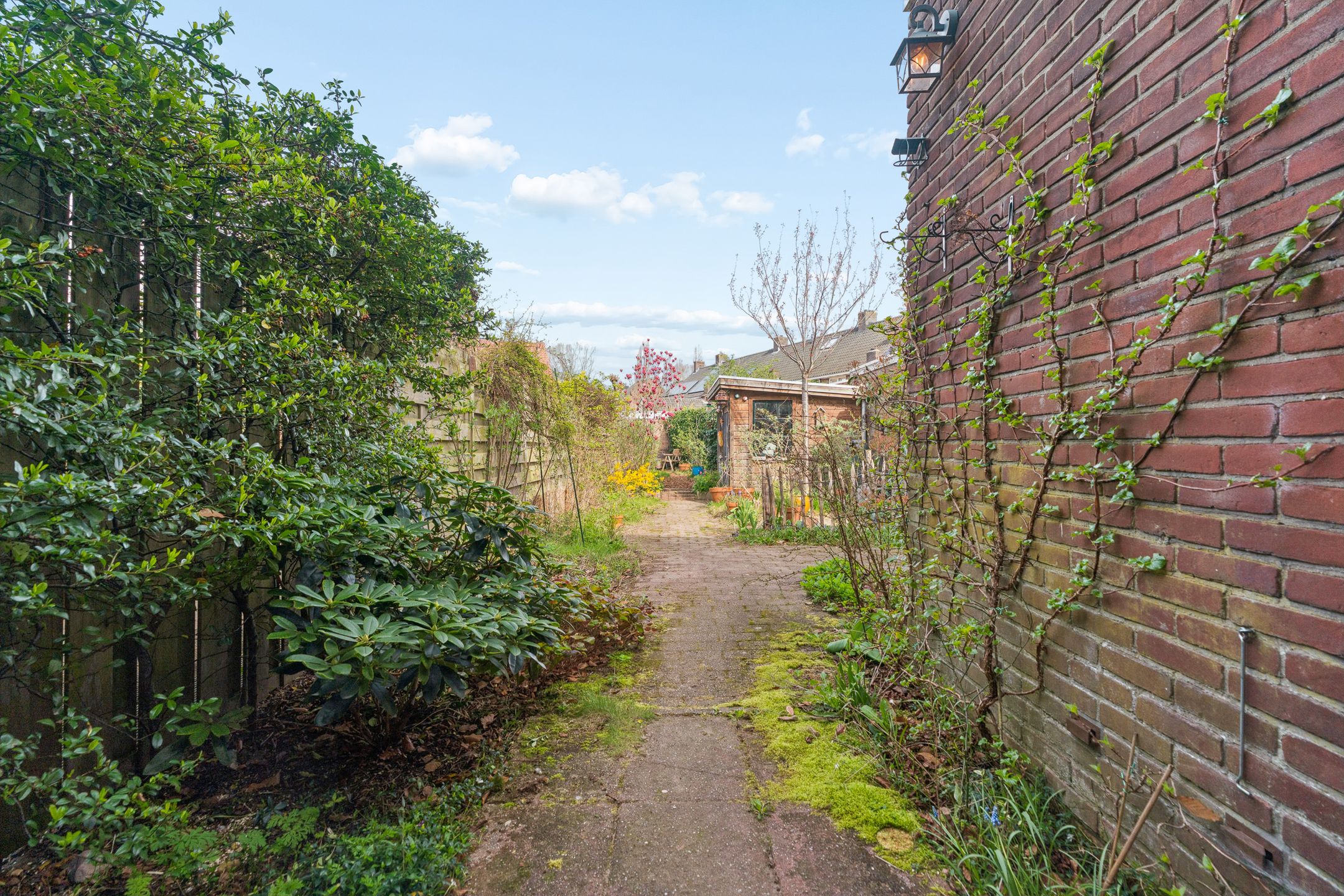 Foto 48 van Muntweg 50