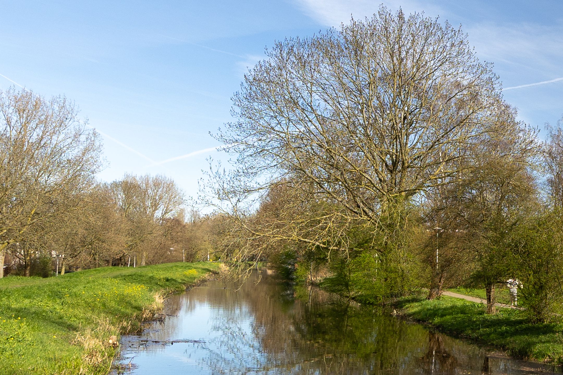 Photo 24 of Korenbloemweg 1