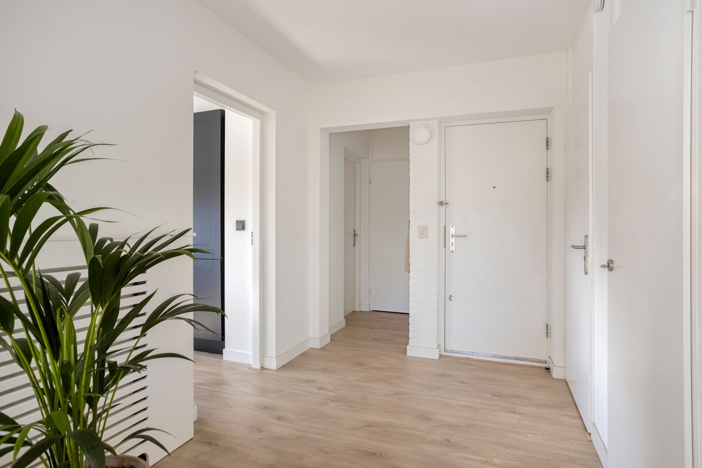 Foto 10 van Waterlandlaan 97