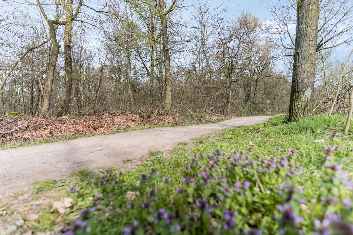 Foto 35 van Driftweg 21