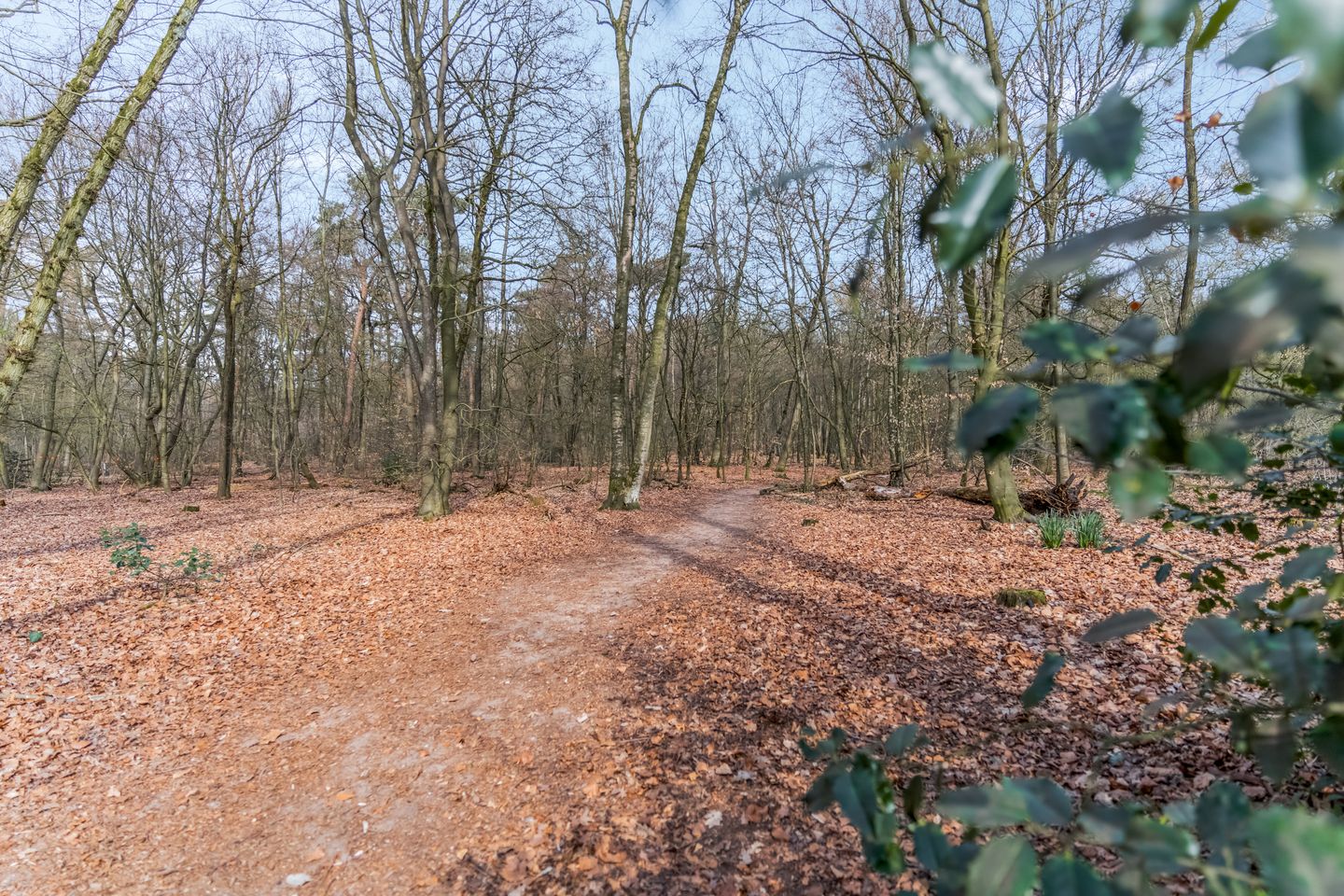 Foto 34 van Driftweg 21