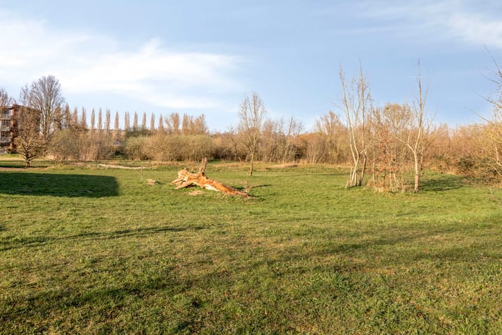 Foto 2 van Louis Couperuslaan 33