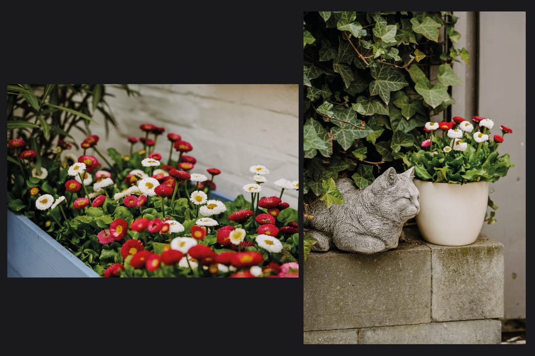 Foto 26 van Bergstraat 71