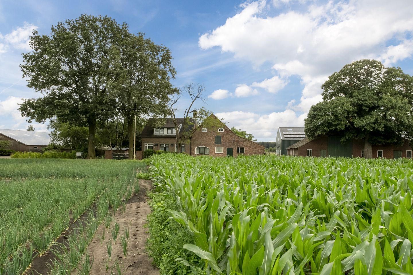 Bleukweg 6 - Tilburg - Afbeelding 6