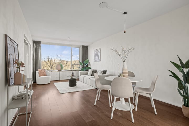 Photo 4 of Livingstonelaan 548