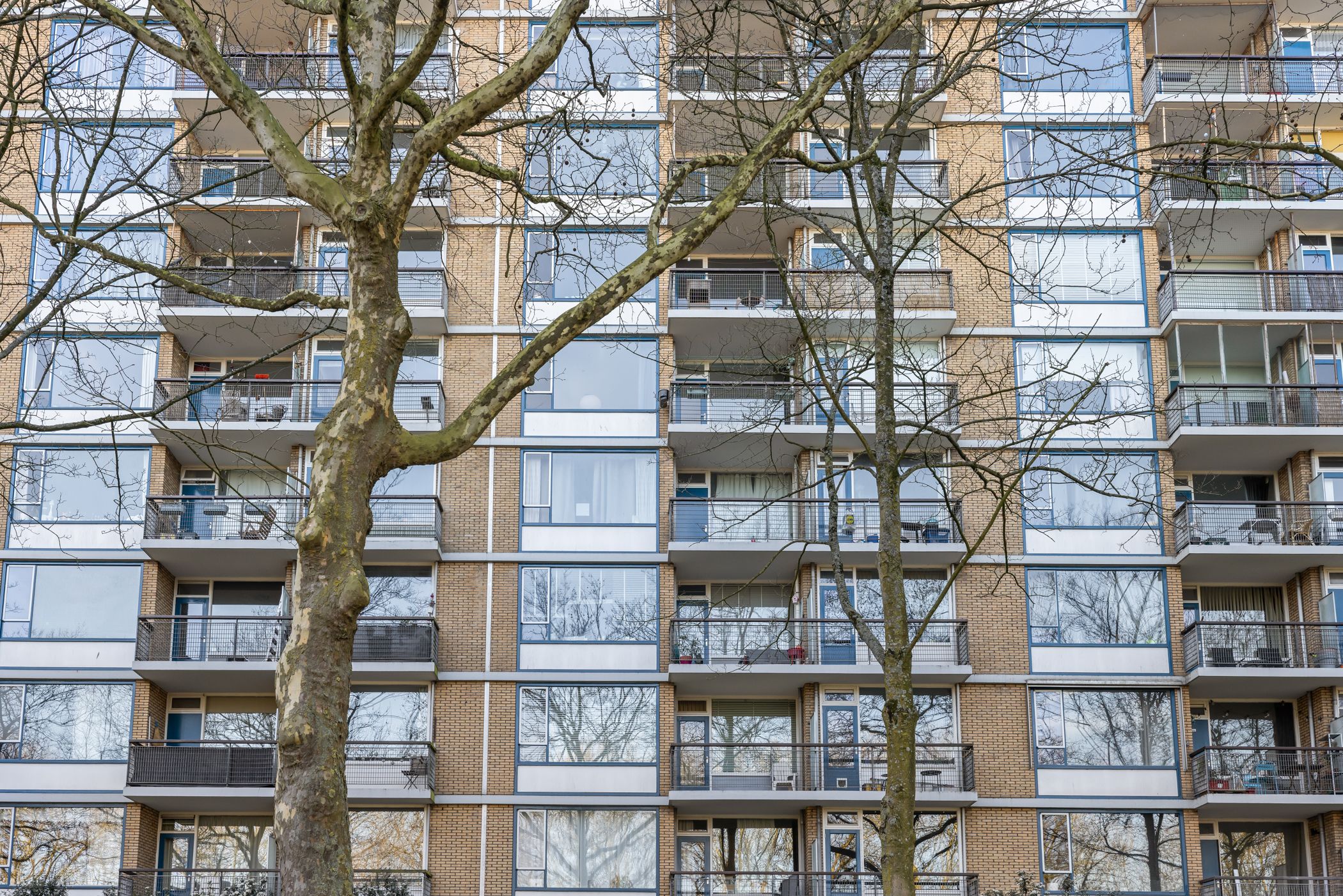 Foto 36 van Livingstonelaan 548