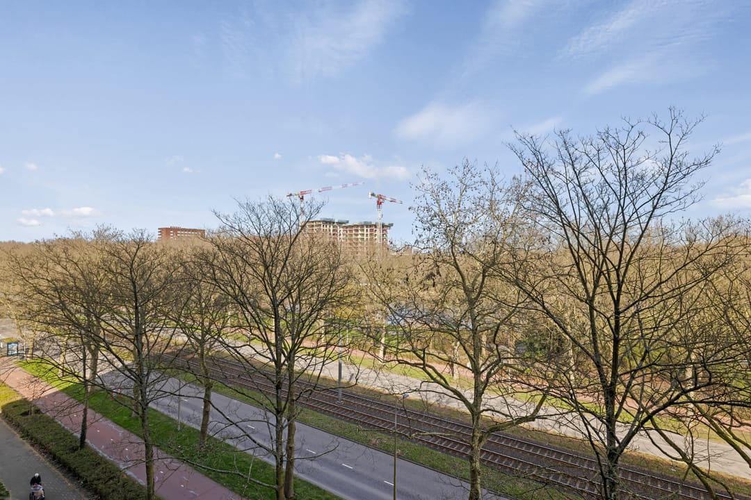 Foto 13 van Livingstonelaan 548