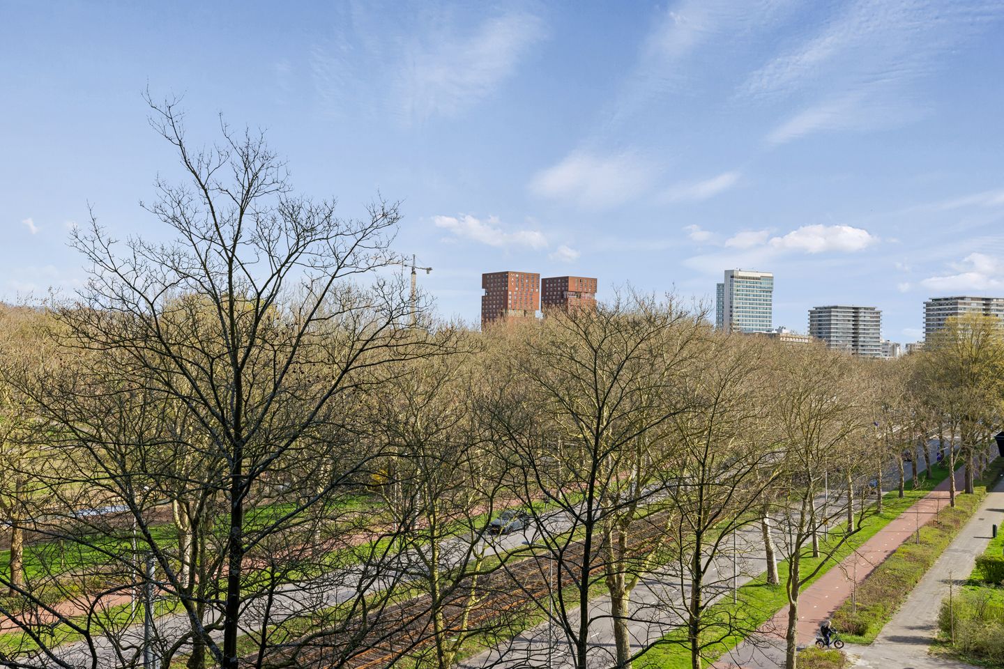 Foto 14 van Livingstonelaan 548