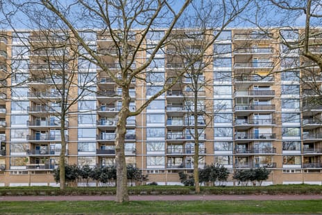 Livingstonelaan thumbnail