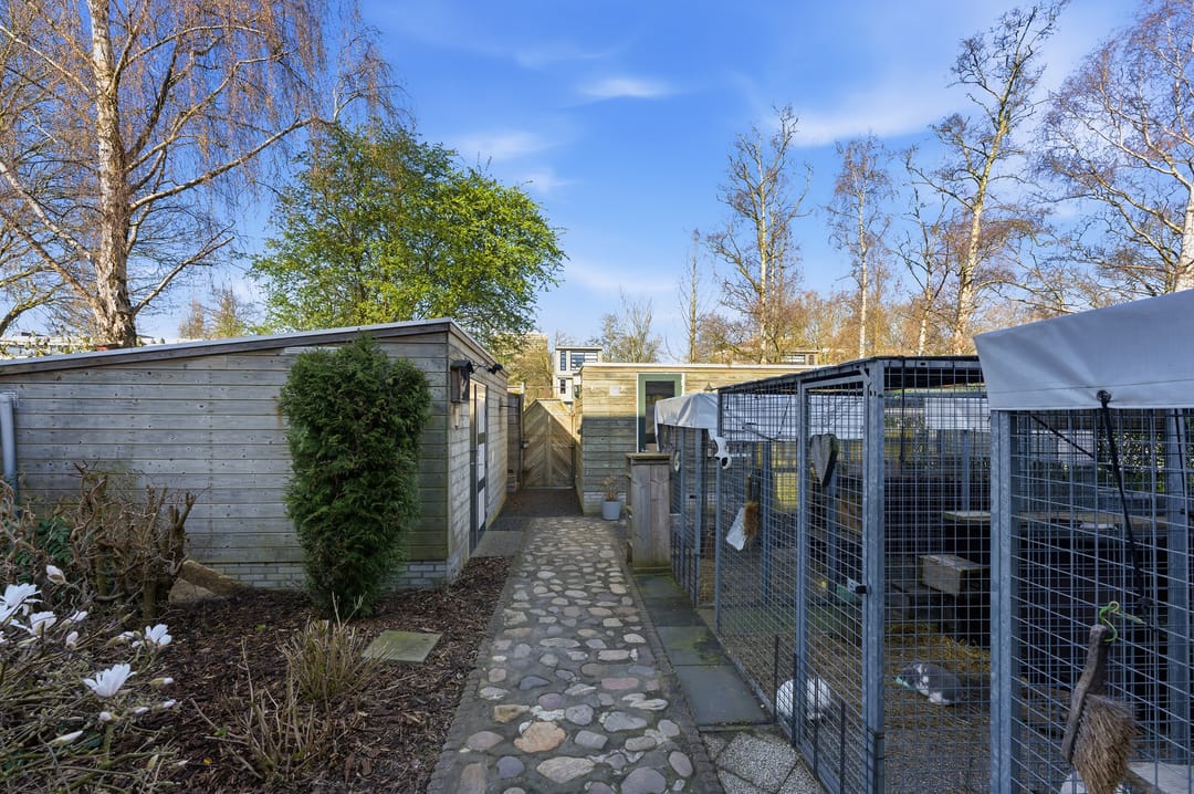 Foto 38 van Lorentzstraat 41